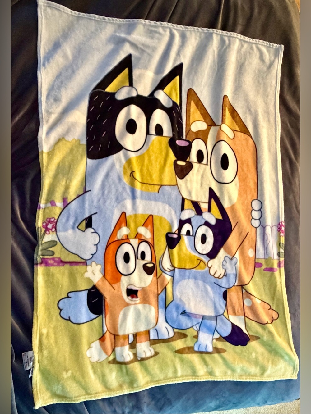 Lot of 2! Bluey Family Plush and Bluey Halloween Throw Blankets